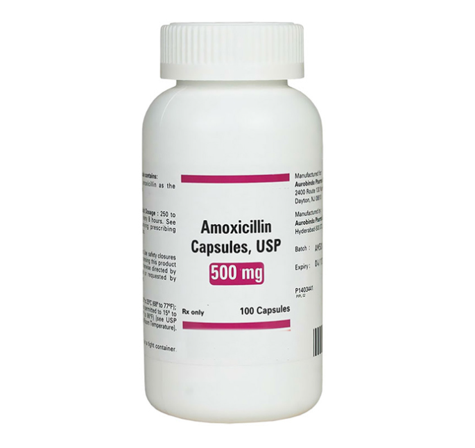 Amoxicillin 500mg bottle 500 pcs