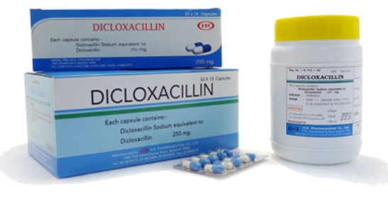 DICLOCILLIN Dicloxacillin 500mg (bottle 250 pcs) – Medical Matcher