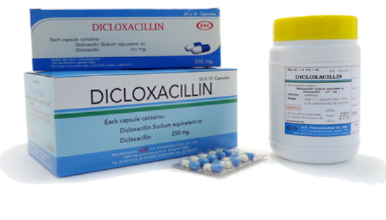 DICLOCILLIN Dicloxacillin 500mg (bottle 250 pcs)