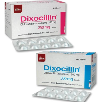 DIXALIN Dicloxacillin 500mg (bottle 500 pcs)