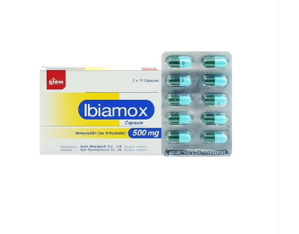 Moxipharm Amoxicillin capsule 500mg (blue-green) (50 blisters/box]